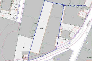 Dictamen: Licencia concedida por el Ayto. para edificio industrial. Nava de Asunción.